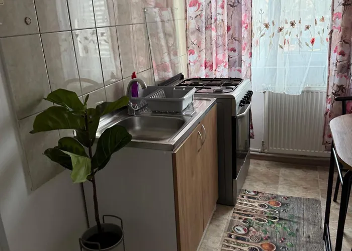 Someseni Apartment *