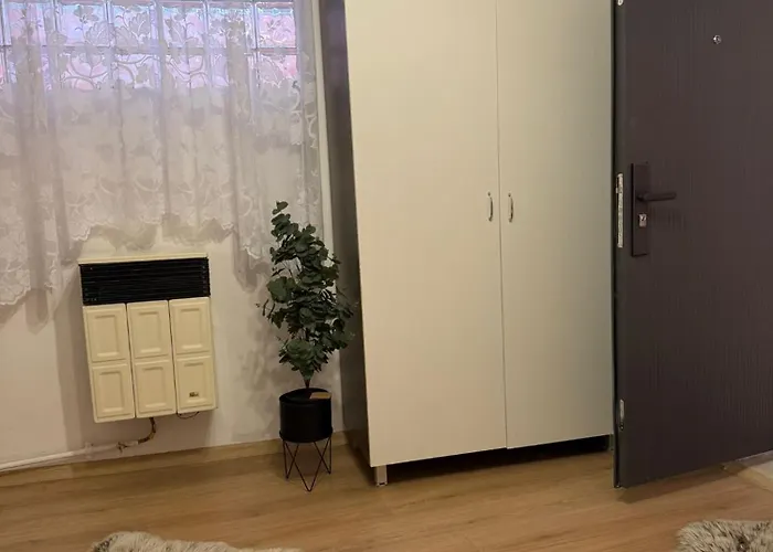 Apartment Someseni *